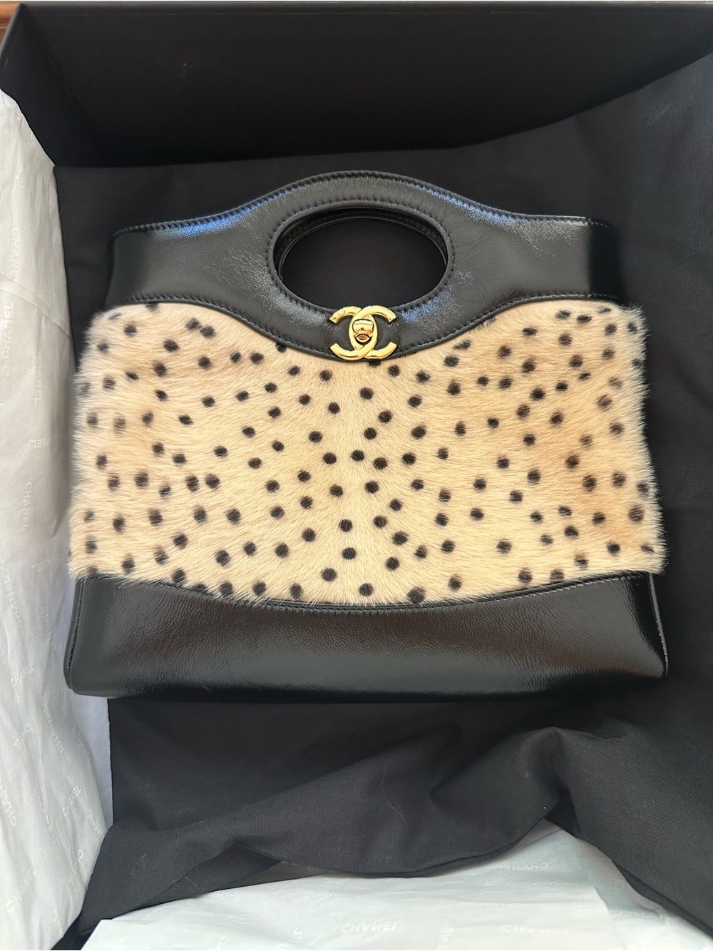 Chanel Mini 31 Pony Hair Shiny Lambskin